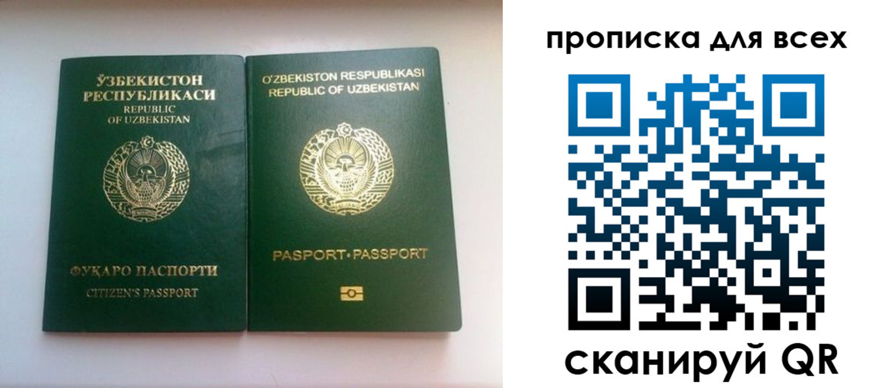 прописка для школы в Изобильном